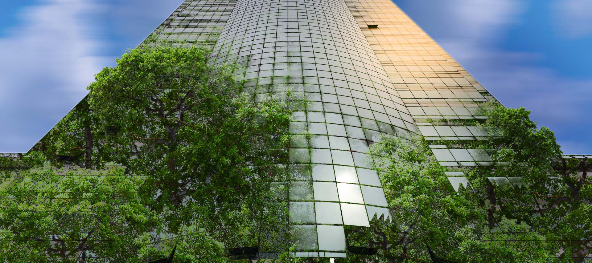 Corporate Sustainability Reporting & Accountability