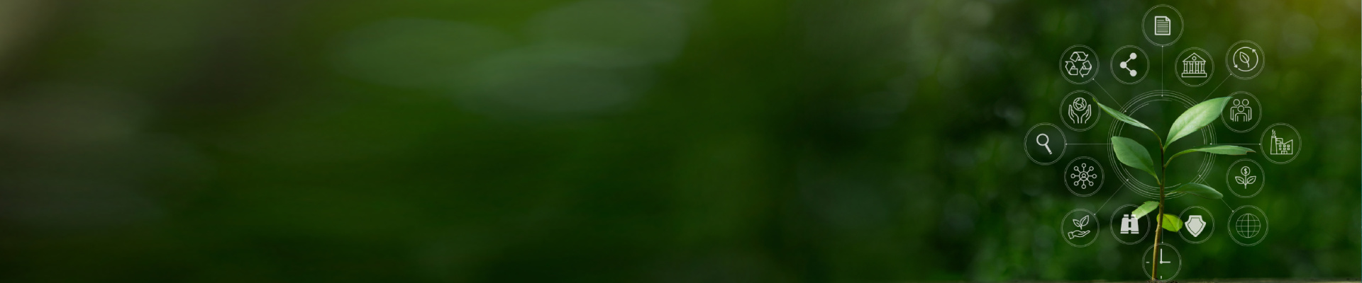 Sustainability Reporting and Certifications