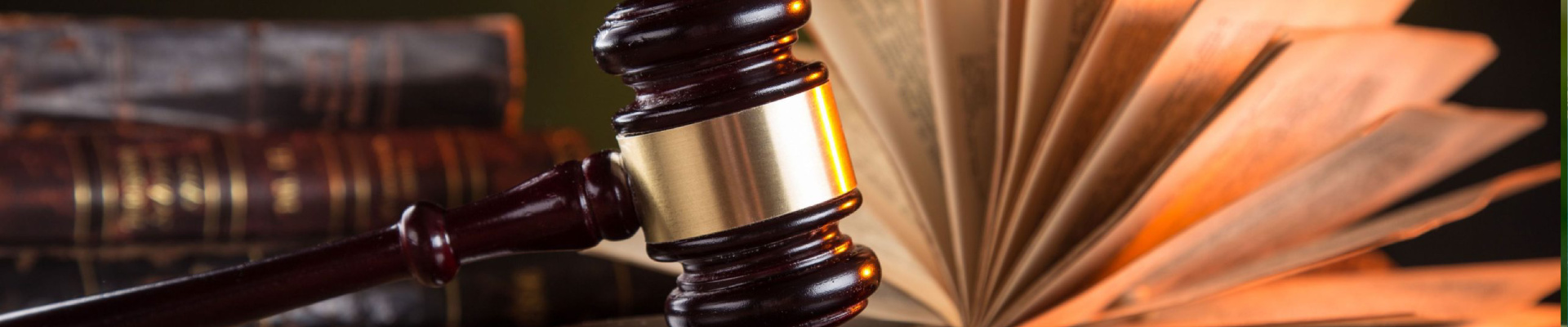 Compliance Assessment Handholding