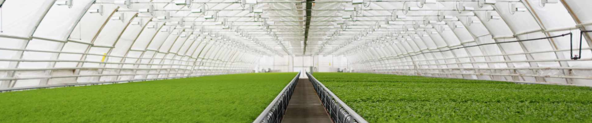  GHG Calculation and Accounting 