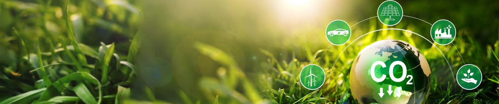 Climate & Carbon Reporting Initiatives