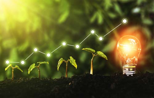 Sustainability Commitment